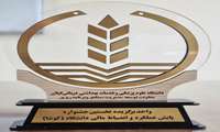 کسب رتبه برتر معاونت غذا و دارو در جشنواره پایش عملکرد مالی دانشگاه