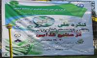 مقالات ارائه داده شده در کنگره ملی نقش زیست فناوری در صنایع غذایی