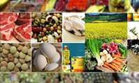 کشف کالاهای غیرمجاز در نمایشگاه عرضه مستقیم مواد غذایی ویژه ماه   رمضان در رشت