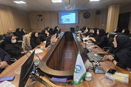  دوره آموزشی آشنایی با محصولات ضدآفتاب برگزار شد