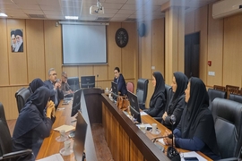 نشست تخصصی تدوین برنامه سلامت برنج با حضور دستگاه‌های اجرایی استان